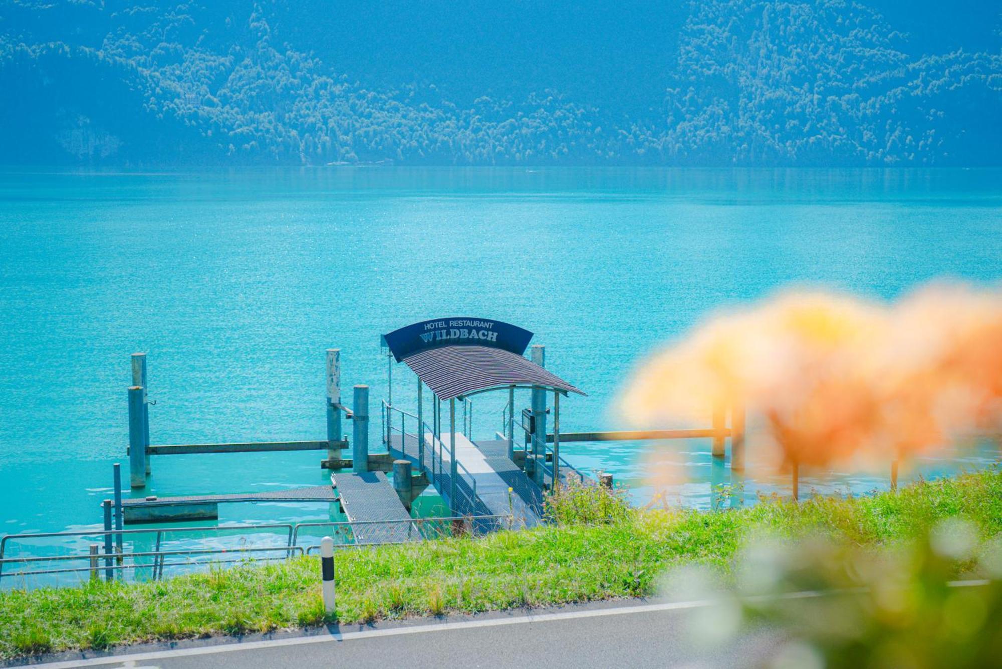 Hotel Wildbach Brienz Brienz  Zewnętrze zdjęcie